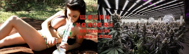 Бошки марихуана White Widow  купить   Энгельс 